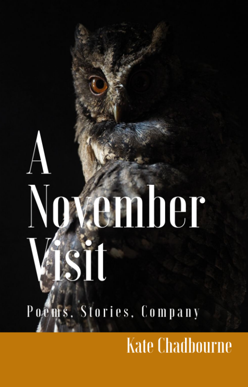 A November Visit: Poems, Stories, Company - ebook & audiobook