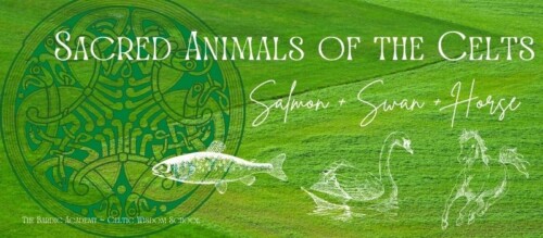 Sacred Animals of the Celts course
