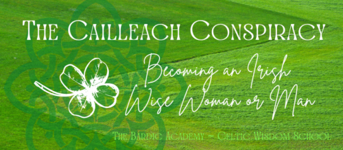 The Cailleach Conspiracy: Becoming an Irish Wise Woman or Man ~ live online course