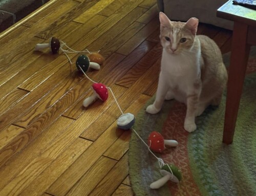 Good News Dressed as Bad