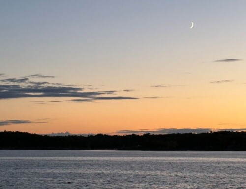 I Quit Social Media and What I Joined Instead